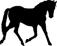 Nálepky na stenu - Klusajúcí kôň