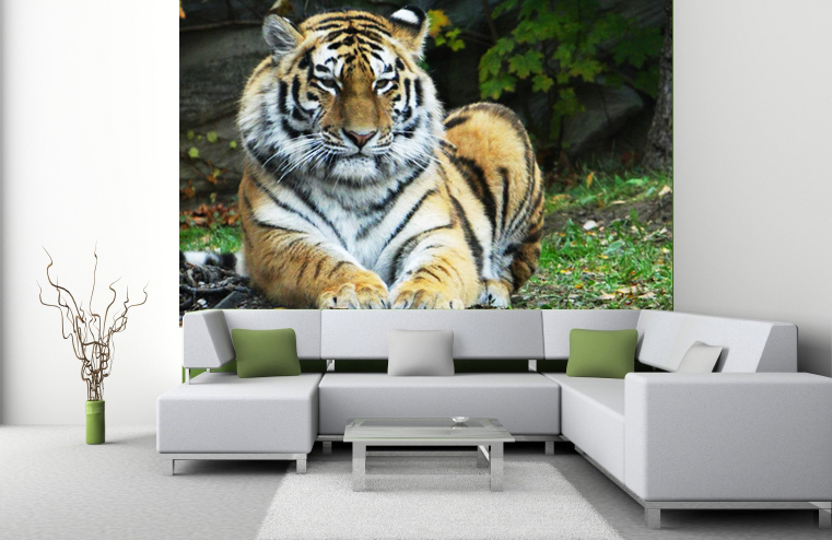 Fototapety - Ležiaci tiger