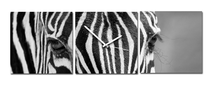 Dizajnové hodiny na stenu ako obraz - Zebra
